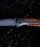 Folding Knife